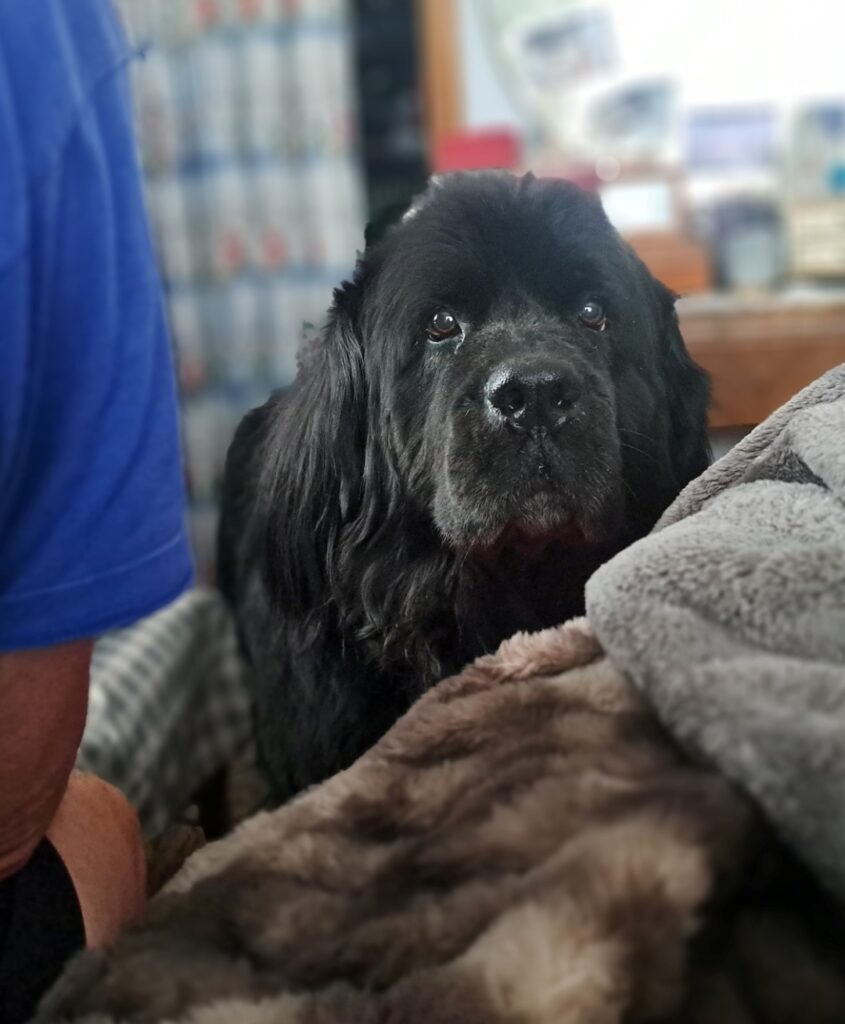 Screenshot_20250506_134107_Gallery (1)