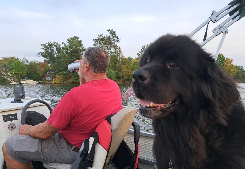 Screenshot_20250507_230012_Gallery