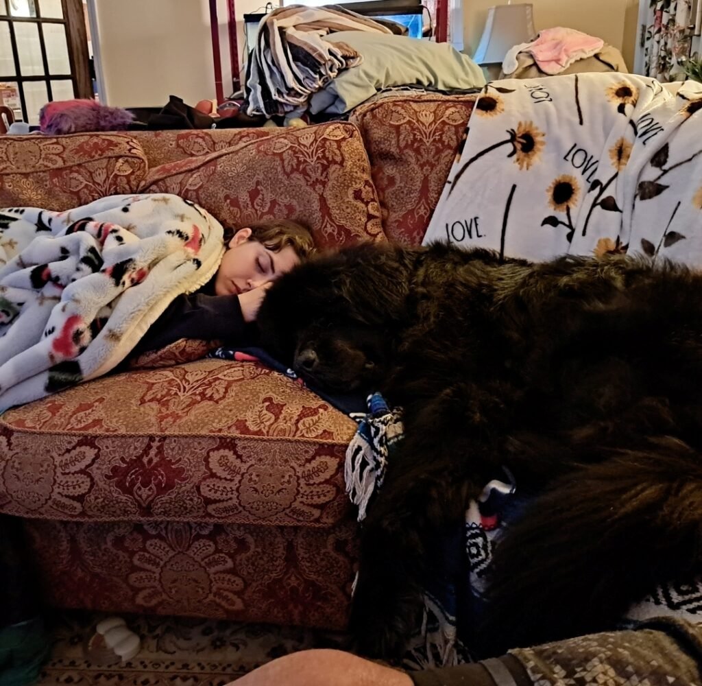 Screenshot_20250507_230200_Gallery