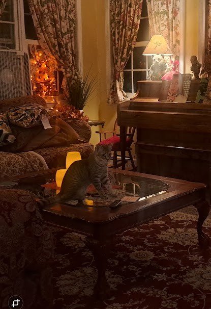 Screenshot_20250922_204527_Gallery